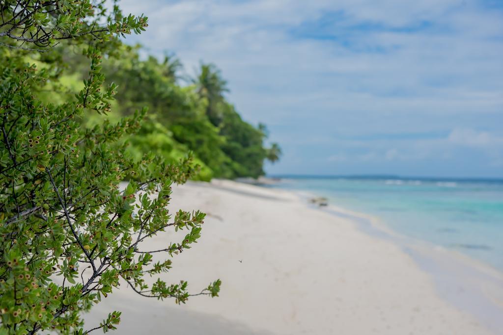 Maclura Residence Maalhos  المظهر الخارجي الصورة