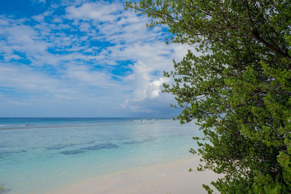 Maclura Residence Maalhos  المظهر الخارجي الصورة