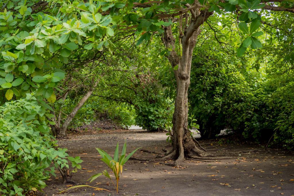 Maclura Residence Maalhos  المظهر الخارجي الصورة